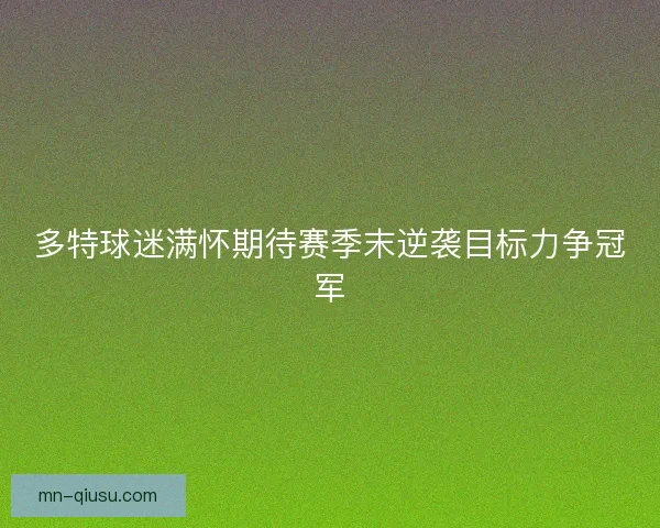 多特球迷满怀期待赛季末逆袭目标力争冠军